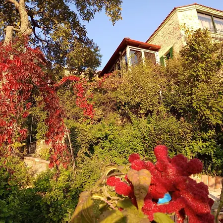 Penelope * Kerasochori