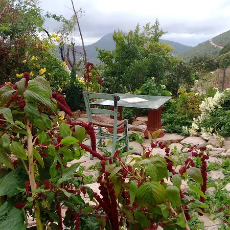 Penelope * Kerasochori